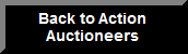Action Auctioneers Inc.